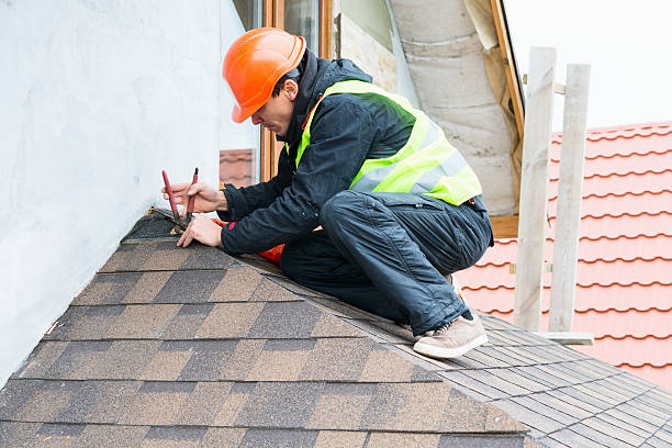 Best Roof Gutter Cleaning  in Belmont, WI